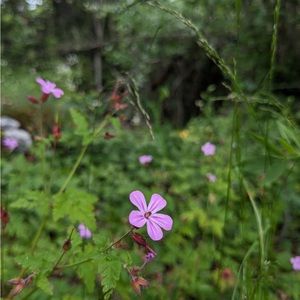 Meet your Posher, Kyley